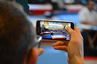 乐鱼电竞-中国篮球联赛市场细分与精准营销研究，全国篮球联赛优势