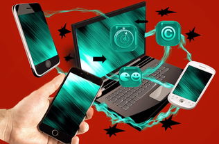 乐鱼（中国）体育官方网站-意甲青训项目融合视觉追踪与快速反应训练提升技战术判断