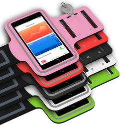 乐鱼电竞在线平台-智能体育训练辅助工具研发与应用，智能体育训练辅助工具研发与应用论文