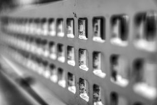 乐鱼（LEYU）体育-青少年体质监测结果区域对比研究，青少年健康体质检测中心